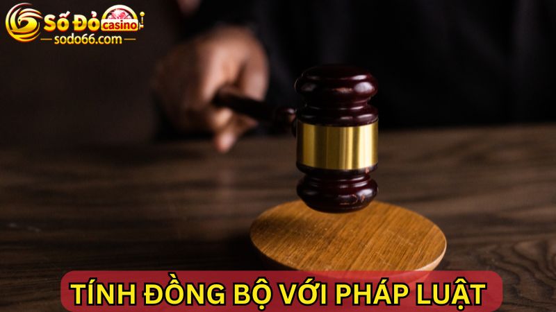 Tính đồng bộ với pháp luật của chính sách